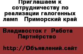 Приглашаем к сотрудничеству по реализации галогенных ламп - Приморский край, Владивосток г. Работа » Партнёрство   